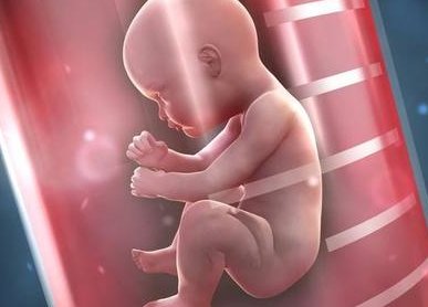 2026南京正规靠谱助孕公司名单大全：一共介绍前十家