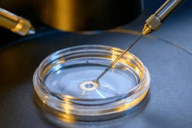 2026北京三代试管自选胚胎试管费用分享！（附医院推荐）