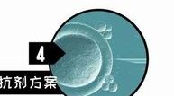 2026上海市做三代试管婴儿助孕胎多少钱？试管贵吗？