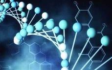 2026宿州助孕机构大盘点，一共介绍前十家