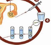 2026内蒙古呼和浩特TOP10助孕机构大盘点(正规助孕机构推荐)