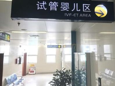 2026国内能够做试管助孕机构排名