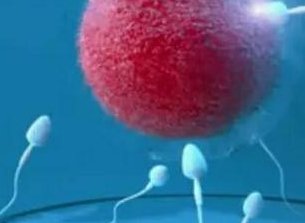 2026年中山市博爱医院怎么样？能不能做三代试管看完就知道