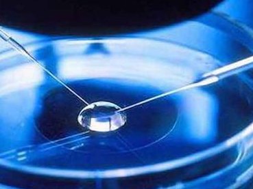 2026亳州试管助孕机构排行、哪个好