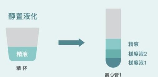 2026国内三代试管婴儿成熟吗？