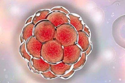 2026上海仁济医院精子试管费用介绍，附上海仁济精子试管流程