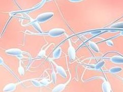 2026北京做试管婴儿厉害的医院大揭秘，来看看是哪些医院